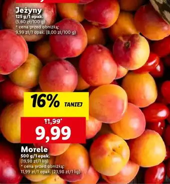 Lidl Morele 500 g oferta