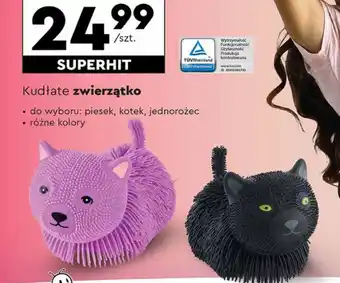 Biedronka Maskotka oferta