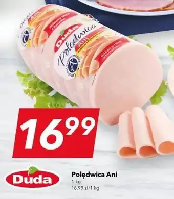 Lewiatan Poledwica ani Duda oferta