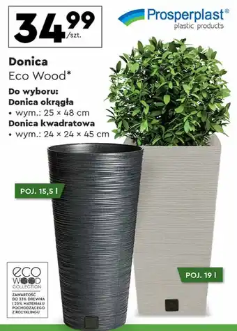 Biedronka Donica eco wood 19 l Prosperplast oferta