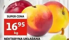 Auchan Nektarynki oferta