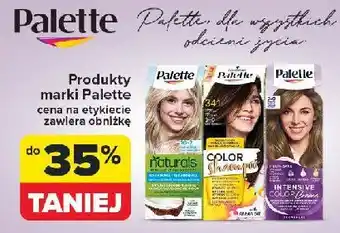 Carrefour Szampon do koloryzacji włosów 341 (3-0) Palette Color Shampoo oferta