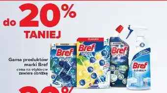 Carrefour Zawieszka do wc eukaliptus Bref Color Aktiv (Wcześniej Blue Active) oferta