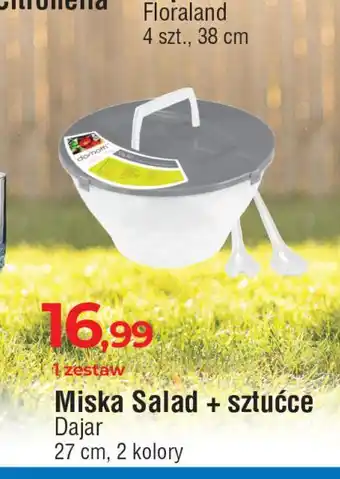 E.Leclerc Miska do sałaty z pokrywką + sztućce Dajar oferta