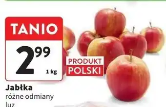 Intermarche Jabłka polskie oferta