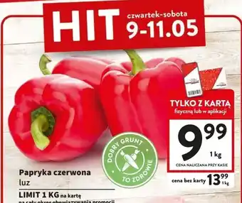 Papryka czerwona