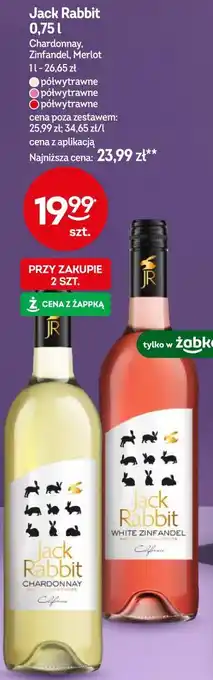 Żabka Jack Rabbit oferta