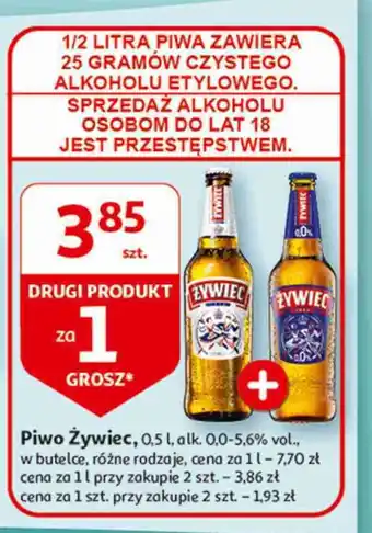 Auchan Piwo Żywiec Jasne Pełne oferta