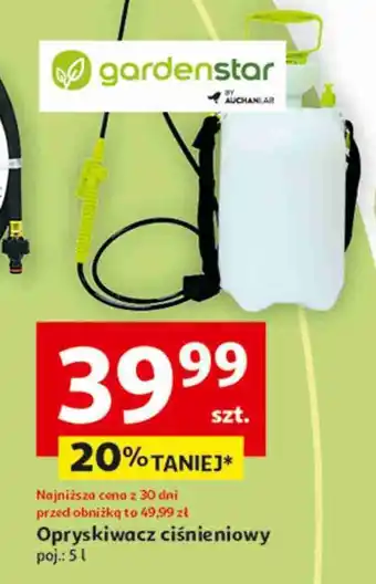 Auchan Opryskiwacz z lancą 5 l Garden Star oferta