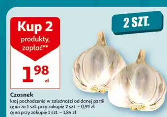 Auchan Czosnek oferta