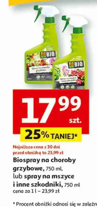 Auchan Spray na mszyce i inne szkodniki bio Compo oferta