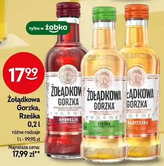 Żabka Żołądkowa Gorzka Rześka oferta