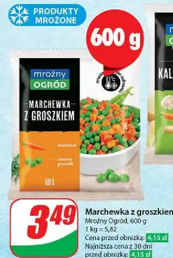 Dino Marchewka z groszkiem Mroźny Ogród oferta