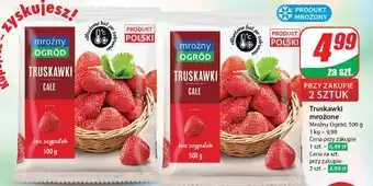 Dino Truskawki Mroźny Ogród oferta