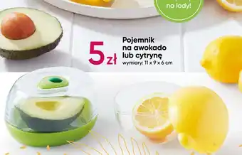 Pepco Pojemnik na cytrynę oferta