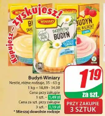 Dino Budyń malinowy z cukrem Winiary oferta