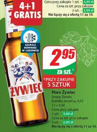 Dino Piwo Żywiec Jasne Pełne oferta