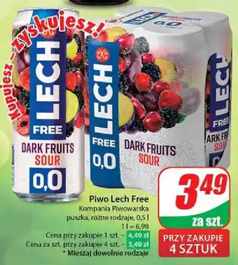 Dino Piwo Lech Free Dark Fruits Sour oferta