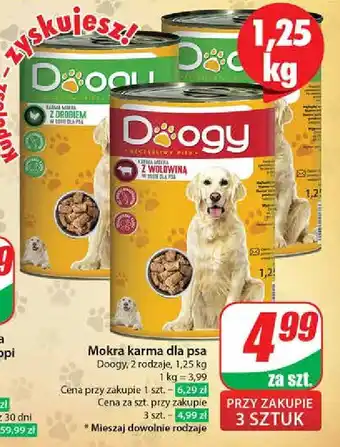 Dino Karma dla psa z wołowiną Doogy oferta