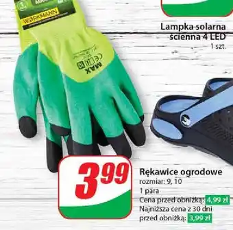 Dino Rękawice ogrodowe 10 oferta