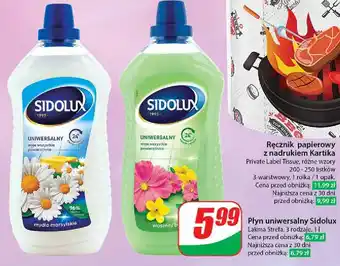 Dino Płyn do mycia wiosenny bukiet Sidolux Uniwersalny oferta