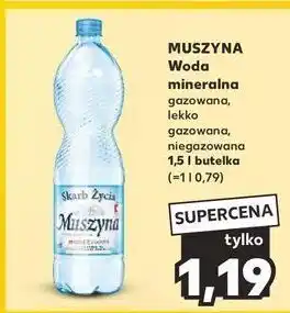 Kaufland Woda lekko gazowana Muszyna Skarb Życia oferta