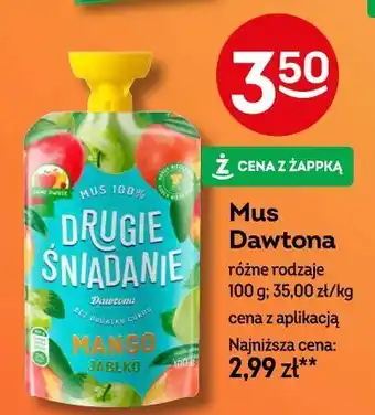 Żabka Mus Dawtona oferta