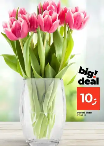 Dealz Wazon 20 cm oferta