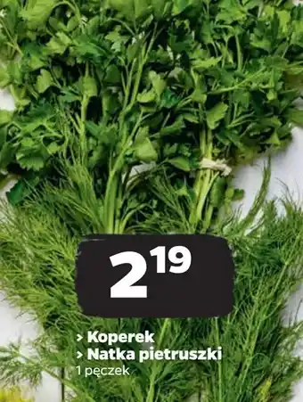 Netto Natka pietruszki oferta