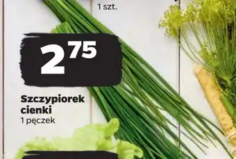 Netto Szczypiorek oferta