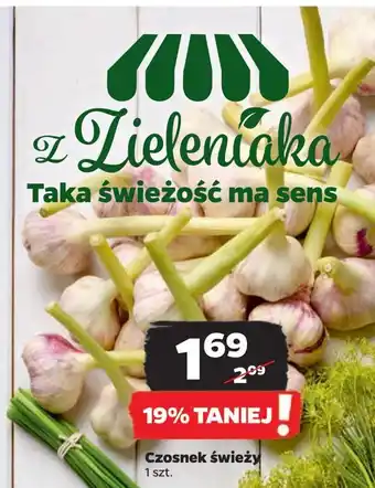 Netto Czosnek oferta