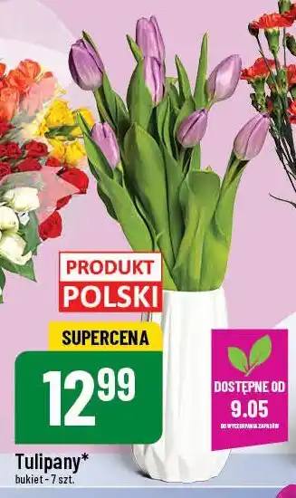 Polomarket Tulipany oferta