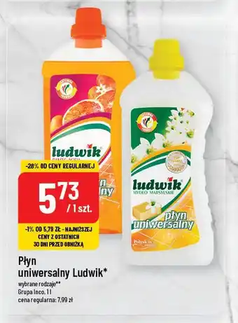 Polomarket Płyn uniwersalny Ludwik oferta