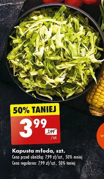 Biedronka Kapusta młoda oferta