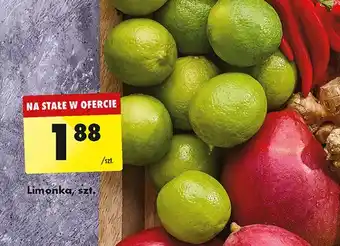 Biedronka Limonka oferta