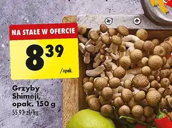 Biedronka Grzyby shimeji oferta