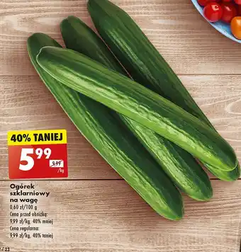 Biedronka Ogórek szklarniowy oferta
