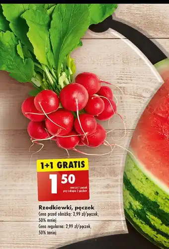 Biedronka Rzodkiewka oferta