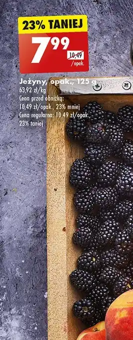 Biedronka Jeżyny oferta