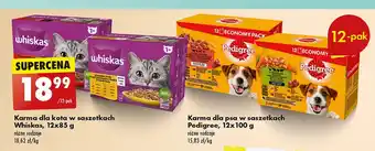 Biedronka Potrawka w galaretce smaki wołowe Whiskas oferta