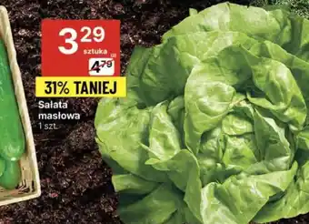 Delikatesy Centrum Sałata masłowa oferta