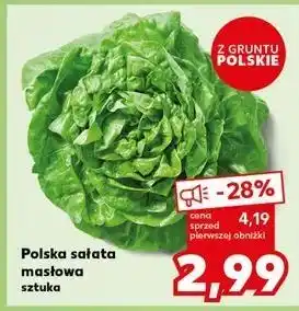 Kaufland Sałata masłowa polska oferta