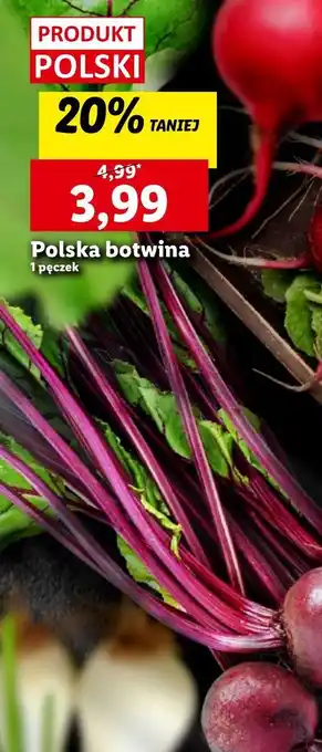 Lidl Botwina polska oferta