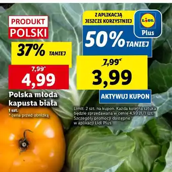 Lidl Kapusta młoda oferta