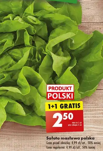 Biedronka Sałata masłowa polska oferta