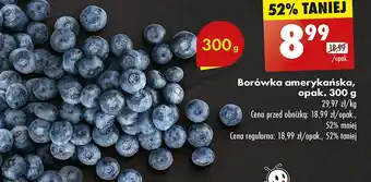 Biedronka Borówki amerykańskie oferta