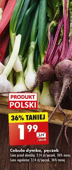 Biedronka Cebula dymka polska oferta