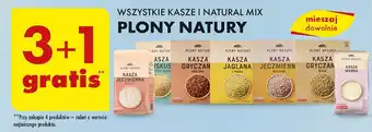 Biedronka Kasza manna Plony Natury oferta
