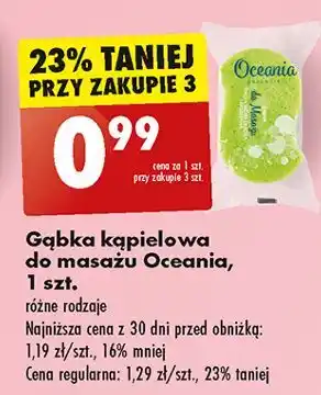 Biedronka Gąbka do masażu Oceania oferta