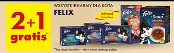 Biedronka Karma dla kota wołowina kurczak jagnięcina Purina Felix Soup Original oferta